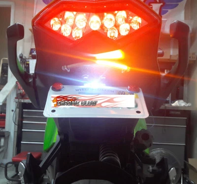 Barra de luz de señal de giro LED Ninja 1000 (2011+) eliminador de guardabarros; lente transparente Foto 1 de 4