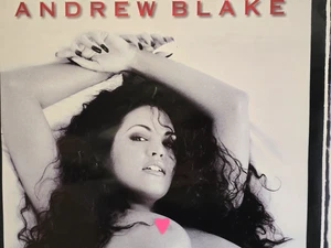 Vintage 1997 Dark Angel with Dahlia Grey von Andrew Blake Promo Poster (18" x 22") - Bild 1 von 7