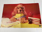 Vtg 80s Poster Worlds Best Student Dog Puppy Troll Books Teach School 17x10