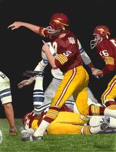 SONNY JURGENSON REDSKINS KUNSTDRUCK - Bild 1 von 1