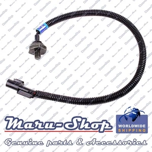 Sensor de detonación de golpe de encendido para 2001 (hasta enero/08/2001) Hyundai XG300 3,0 L - Imagen 1 de 1