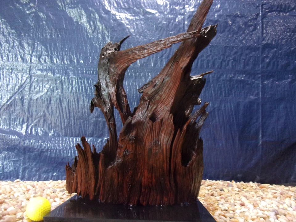 X-Large Driftwood Mounted on Slate 16"x13"x10" Aquarium Reptile Natural Art - Image 1 of 4