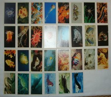 Player’s Grandee ‘The Living Ocean’, 1985, Full Set 30 Cards, VGC