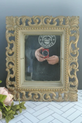 Vintage Syroco Resin Mirror Ornate Decorative with Shadow Frame Cover