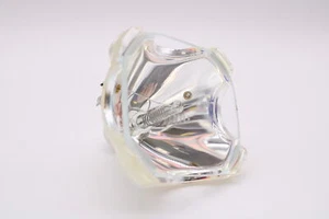 69533 Bulb (Lamp Only) for Various Applications - Picture 1 of 6