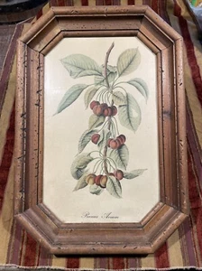 Floral/Prunus Avium Print - Picture 1 of 2