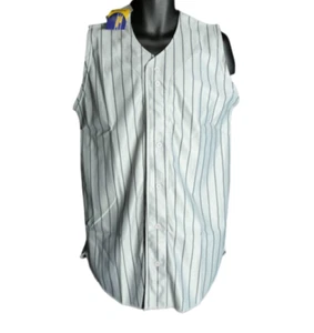 NEU Champro Dri-Gear Baseball Trikot Jugend Jungen Größe Large grau marineblau Nadelstreifen - Bild 1 von 2