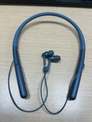 SONY WI-H700 Bluetooth Inalámbrico Deportes Estéreo NFC Auriculares Azul Tested Foto 1 de 2