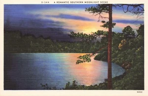 Romantic Southern Moonlight Scene Vintage PC - Picture 1 of 2