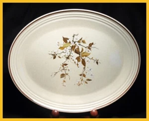 Plato ovalado Royal Doulton Wild Cherry 13 1/2 pulgadas - Imagen 1 de 1
