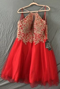 Eve USA  Red A-line Sleeveless Tulle Short Prom Dress Embroidered Appliques 2X - Picture 1 of 13