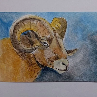 ACEO Art card original acrylic bighorn sheep painting Animal Handmade wild OOAK - Image 1 of 4