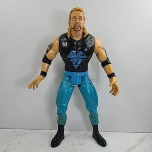 Figura de lucha libre WCW Tuff Talkin Wrestlers Diamond Dallas Page DDP WWE 12"  - Imagen 1 de 7