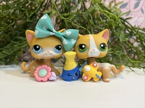 Littlest Pet Shop 71 72 LPS Authentic Curious Kitties Kurzhaar Katzen - Bild 1 von 6