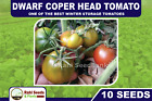 Dwarf Coper Head Tomato One of the Best Winter Storage Tomatoes 10 Seeds