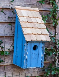 BROADCHURCH WOOD BIRD HOUSE - BLUE - Picture 1 of 1