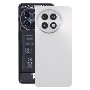For OnePlus 13R CPH2645 CPH2691 Glass Battery Back Cover with Camera Lens silver - Photo 1 sur 2