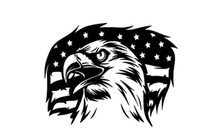 USA Flag Eagle Distressed decal sticker vinyl graphic American car truck window  - Picture 1 of 2