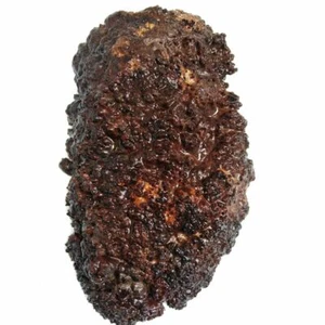 Burl Cap Exotic Live Edge Lumber Amboyna Gun Pistol Grips Pen Blank Knife Handle - Picture 1 of 10