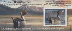 #RW91A 2024 -2025 Federal Duck Stamp - MNH - Picture 1 of 1