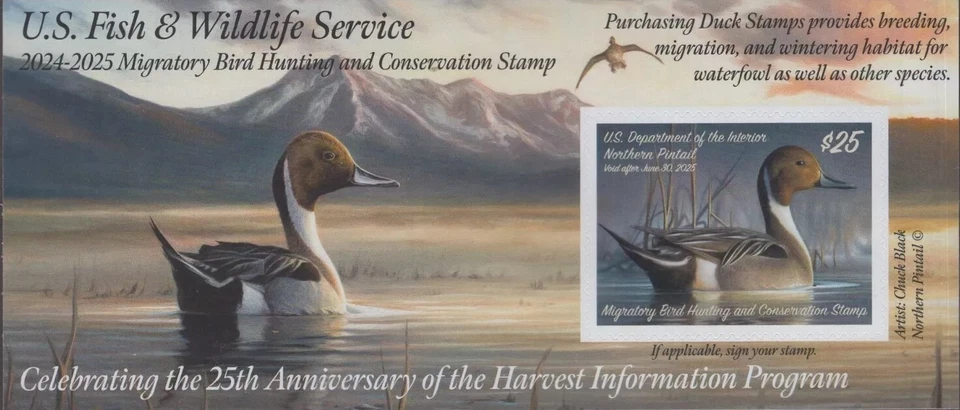 #RW91A  2024 -2025 Federal Duck Stamp  - MNH - Image 1 of 1