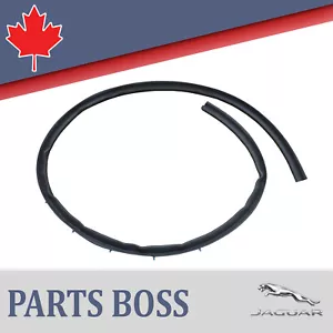 Jaguar F-Type X152 2014-2024 OEM NEW Weather Strip Door Seal Right - Picture 1 of 10