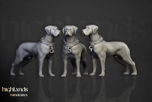 War Hound, Tabletop Wargames Fantasy RPG Witch Hunter Dog Miniature - Picture 1 of 1