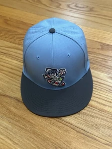 Asheville Tourists Minor League Baseball Team The Game Pro Size Small Fitted Hat - Picture 1 of 10