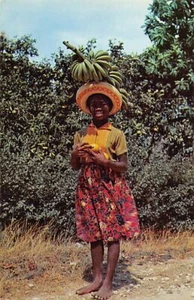 Jamaica - Vendedor de frutas - Publ. The Novelty Trading Co. 13096 - Imagen 1 de 2