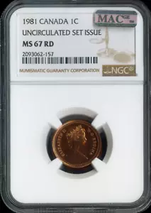1981 Canada Small Cent NGC MS67 RD MAC - Quality - Picture 1 of 2