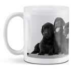 White Ceramic Mug   Bw   Labrador Puppies Puppy Dog 38638