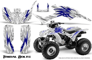 HONDA TRX 300 1993-2006 GRAPHICS KIT CREATORX DECALS STICKERS TBBLW - Picture 1 of 1