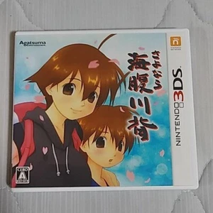 Sayonara Umihara Kawase 3DS Agatsuma Nintendo 3DS JAPÓN - Imagen 1 de 3
