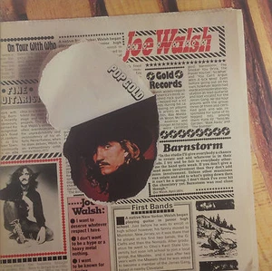 12" LP - Joe Walsh - Pop Gold - K2388 - Lavato E Pulito - Bild 1 von 1