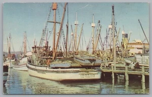 Fishermans Wharf, San Francisco, California, EE. UU., Tarjeta postal vintage. - Imagen 1 de 2