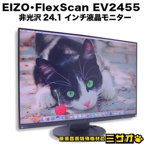 EIZO FlexScan EV2455 24.1 Inch LCD Monitor 1920x1200 Non-Glare Used - Picture 1 of 10