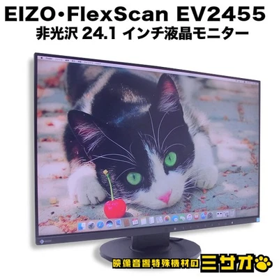 EIZO FlexScan EV2455 24.1 Inch LCD Monitor 1920x1200 Non-Glare Used - Image 1 of 4