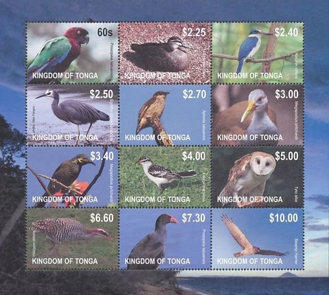 Tonga #SGMS1636 MNH M/S 2012 Owl Parrot Duck Heron Starling Fowl Triller [1170] Cover