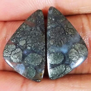 Coppia Marcasite Naturale 15,75 Cts Fantasia Cabochon Pietra Preziosa Sciolta 11x20x3 mm NF436 - Foto 1 di 6