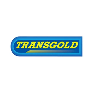 TRANSGOLD ENGINE MOUNT TEM3448 - Picture 1 of 1