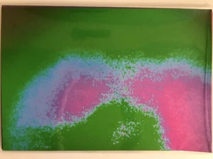 Rare One Of A Kind Fine Art Photo Print Of The Quantum Tapestry! - Picture 1 of 12