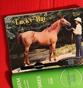 1976 QUARTER HORSE JOURNAL Magazine - LUCKY BAR - SONNY GO LUCKY - DECK JACK - Picture 1 of 24
