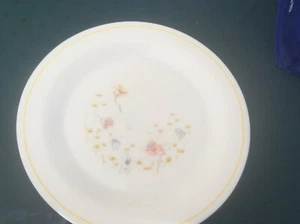 ORIGINAL RETRO ARC SIDE PLATES .FRANCE ARCOPAL.FLORAL - Foto 1 di 3
