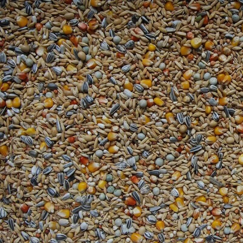 Matador Premium Winter 25 kg Taubenfutter Reinigung des Darmtraktes Brieftauben - Bild 1 von 1