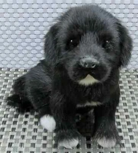 Realistic Black Labrador dog Puppy Pet Plush Simulation Stuffed Animal Doll Toy - Picture 1 of 10