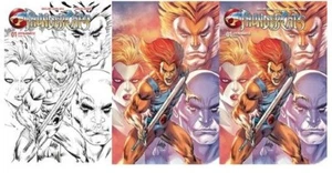THUNDERCATS # 1 (DYNAMITE) 1:10 1:10 FOC COVER- LOT OF 3 LIEFELD COVERS - Picture 1 of 1