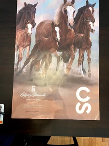 2016 Calgary Stampede Poster by Michelle Grant NEW - Picture 1 of 2