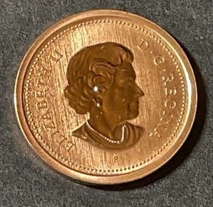 CANADA 2004 Coin 1 Cent Penny Frosted Proof Gem BU Coin Uncirculated Maple Leaf - Picture 1 of 2