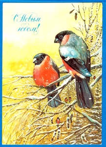 T.Panchenko 1986 Russian NEW YEAR BULLFINCHES ON FROST COVERED BRANCH - Picture 1 of 2