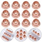 Quality Manifold Flashed Exhaust 8Mm Nuts High Temperature Nuts M8 Nut Copper
